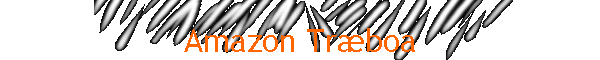 Amazon Trboa