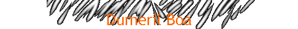 Dumeril Boa