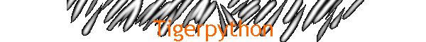 Tigerpython